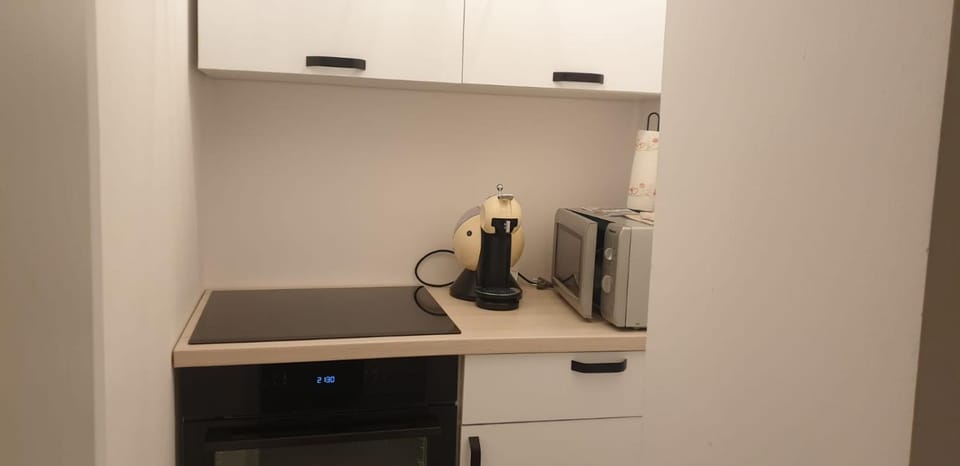 Coffee/tea facilities, Kitchen or kitchenette, minibar, pet friendly, stove