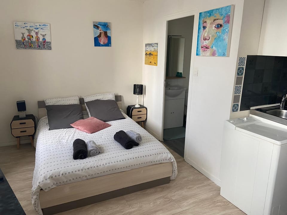 Studio le petit logis-meublé 2 étoiles -local vélo-arrivée autonome-H Flexibles Apartment in Nouvelle-Aquitaine