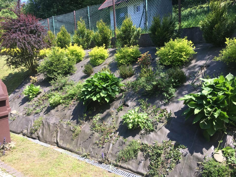 Spring, Day, Garden