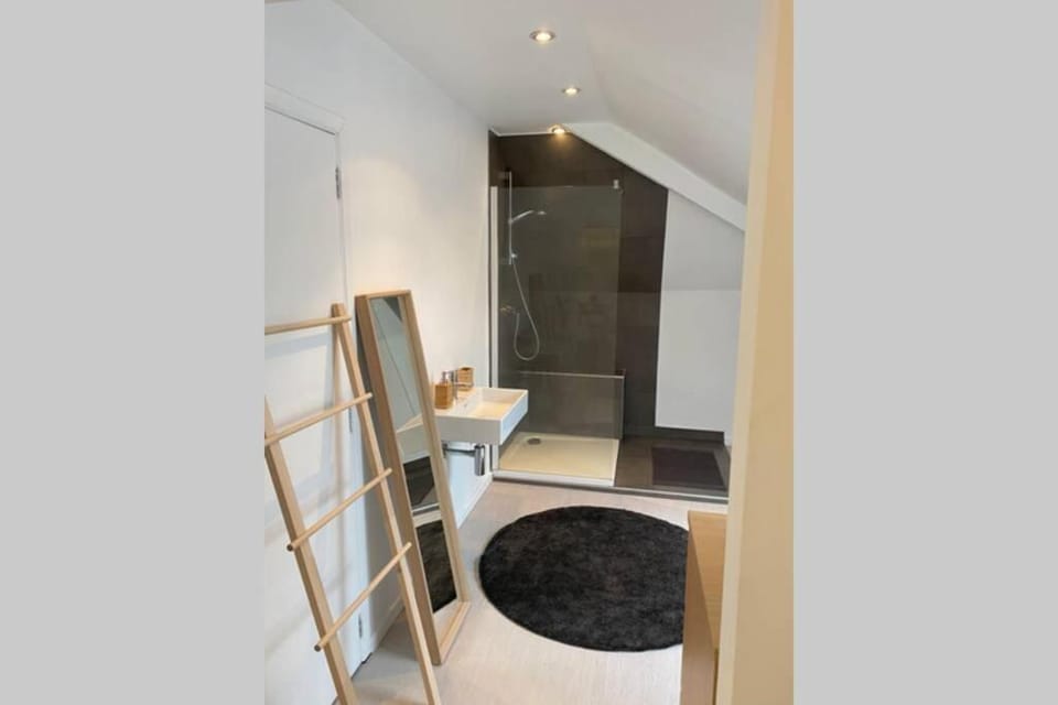 Moderne loft in historisch pand Apartment in Ghent