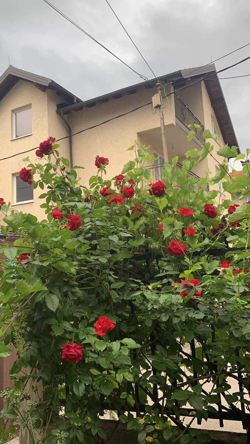 Saray House Sarajevo Apartment in Sarajevo