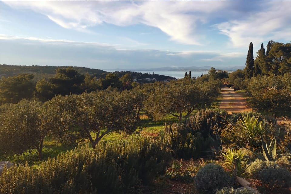 Garden view, Sea view
