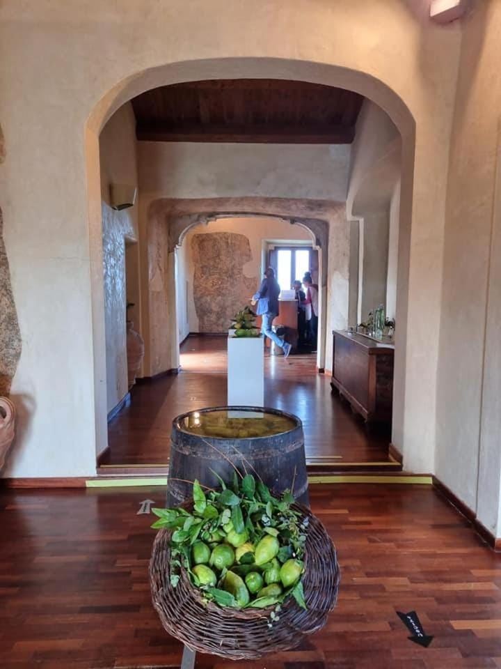 B&B Il Grillo Bed and Breakfast in Calabria