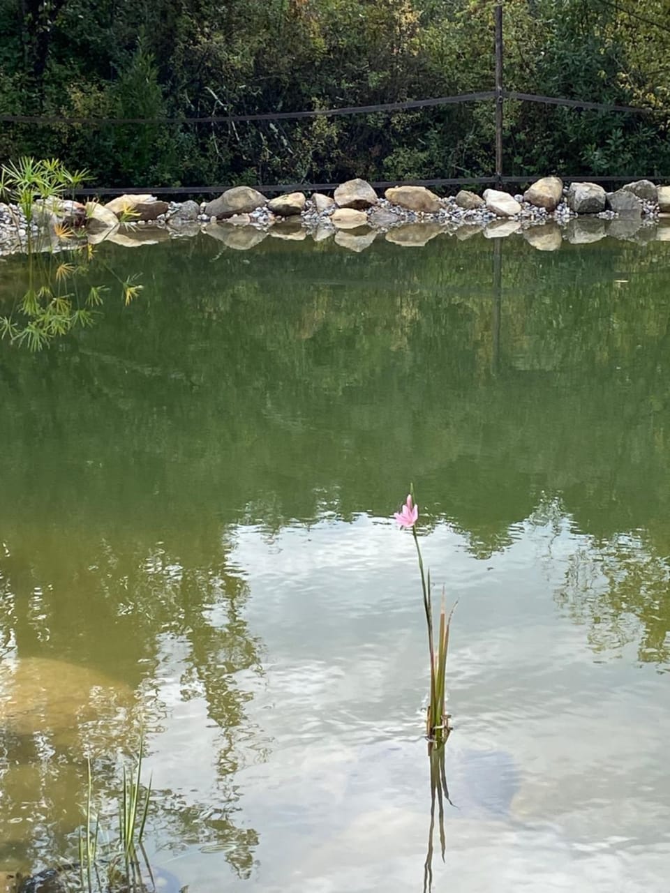 Natural landscape, Swimming pool
