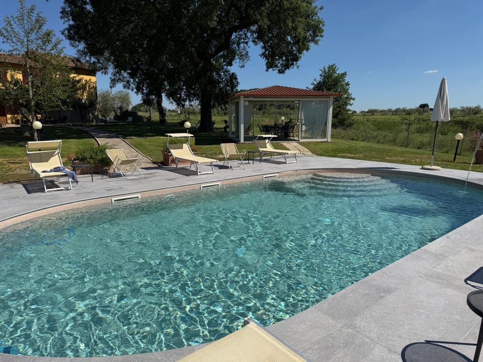Patio, Natural landscape, Garden, Garden, Garden view, Pool view, Swimming pool, Swimming pool, sunbed