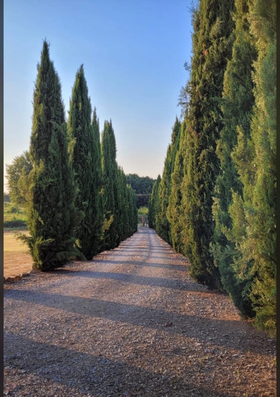 Natural landscape, Garden view