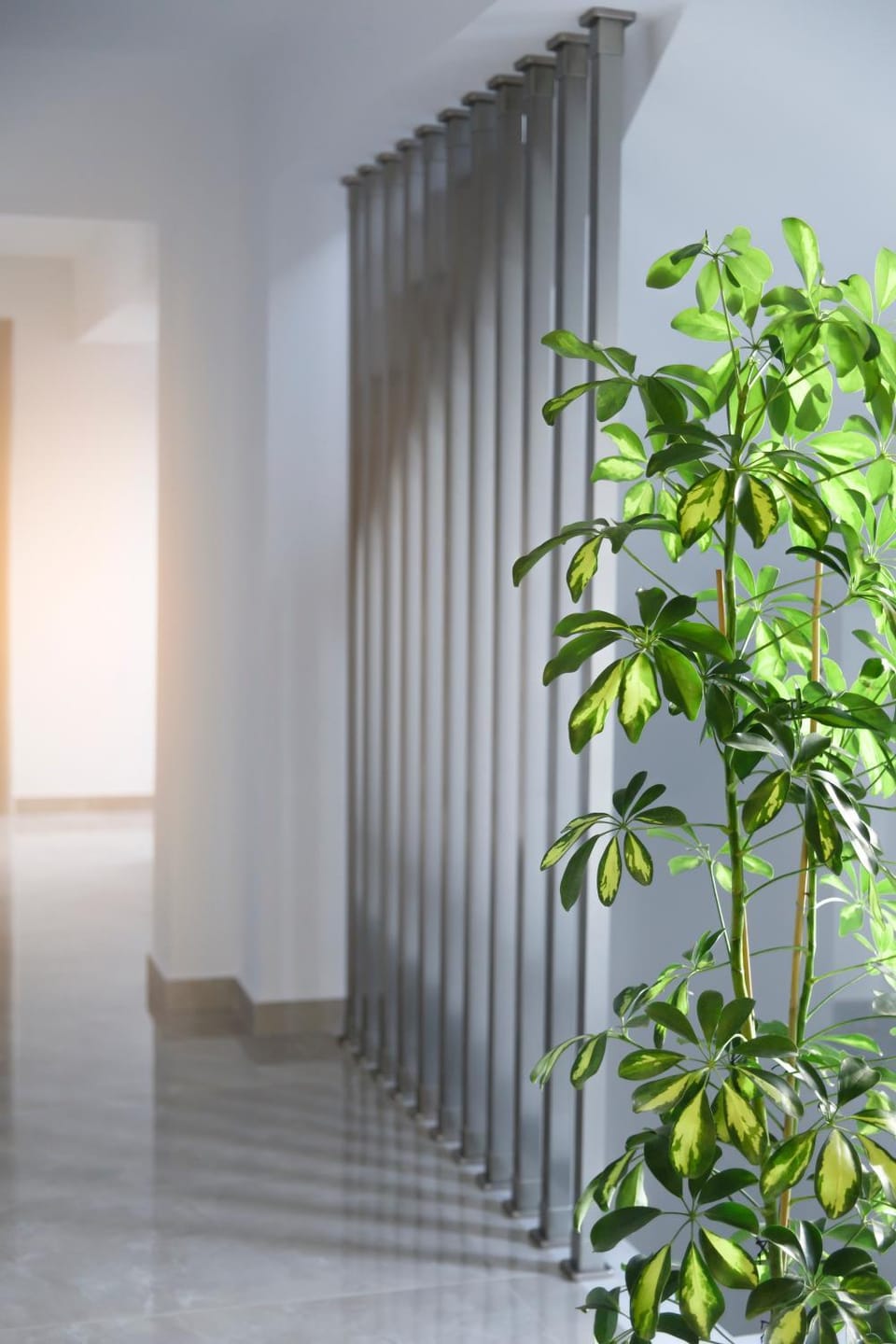 Summer Inn Apartment hotel in Halkidiki