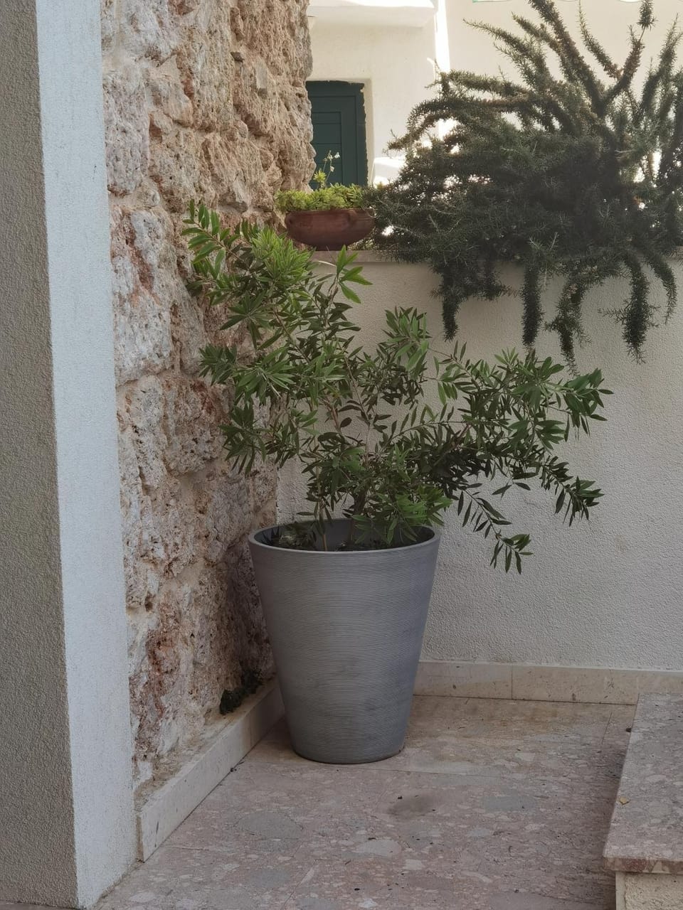 Property building, Garden