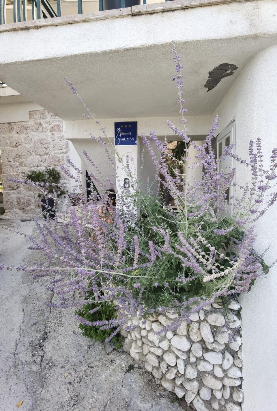 Property building, Garden