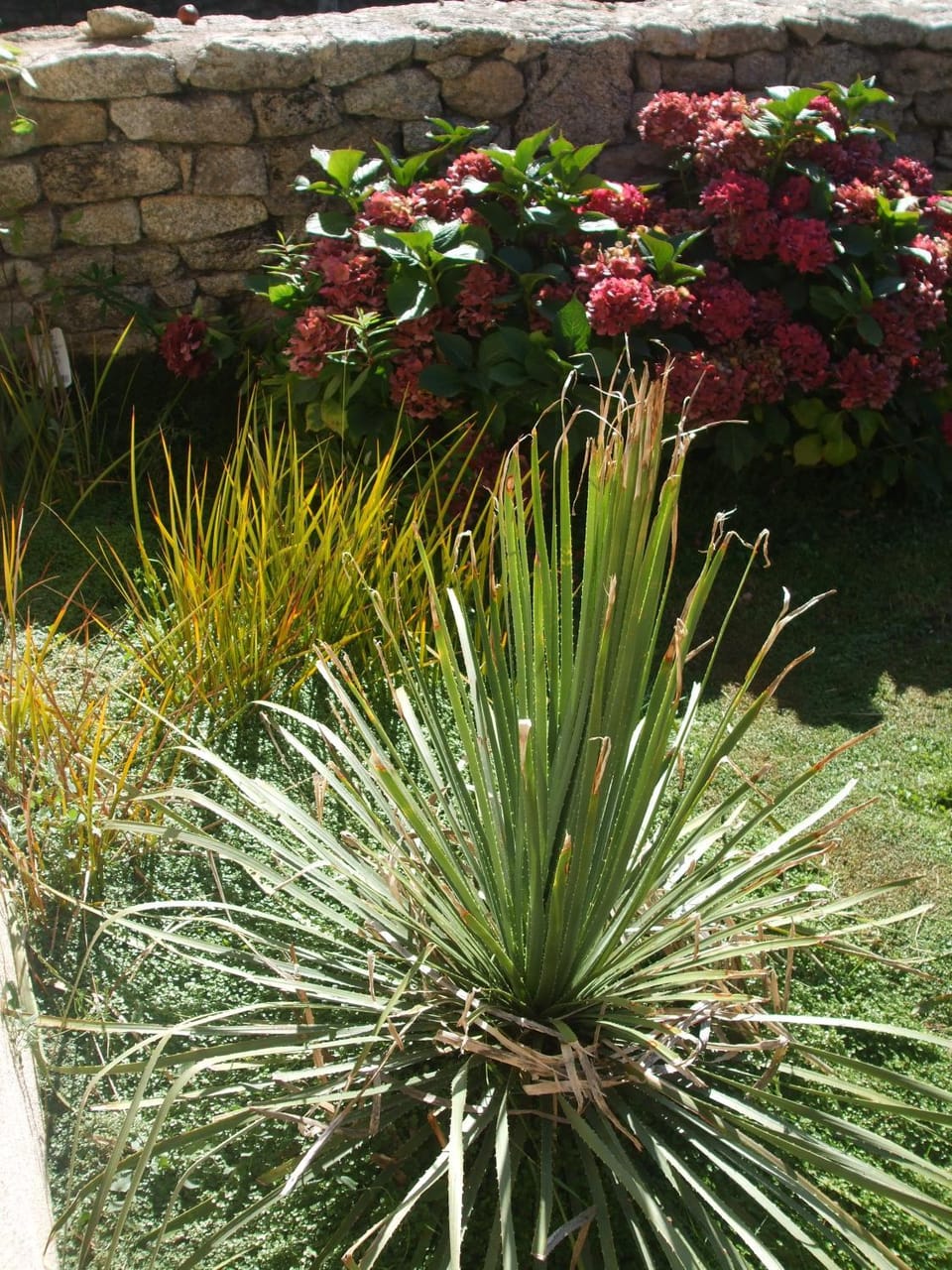 Garden view