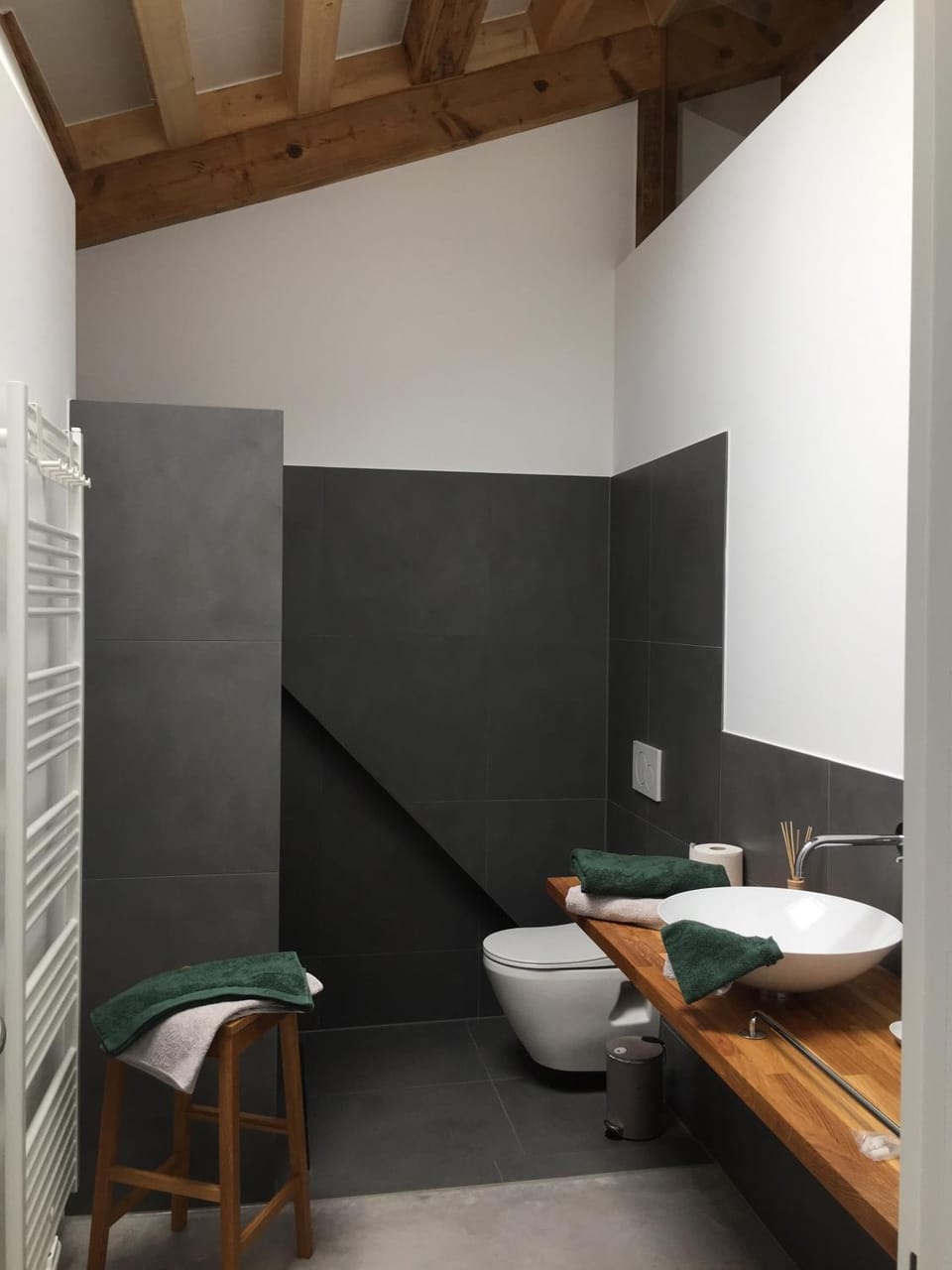 Bathroom, Living room