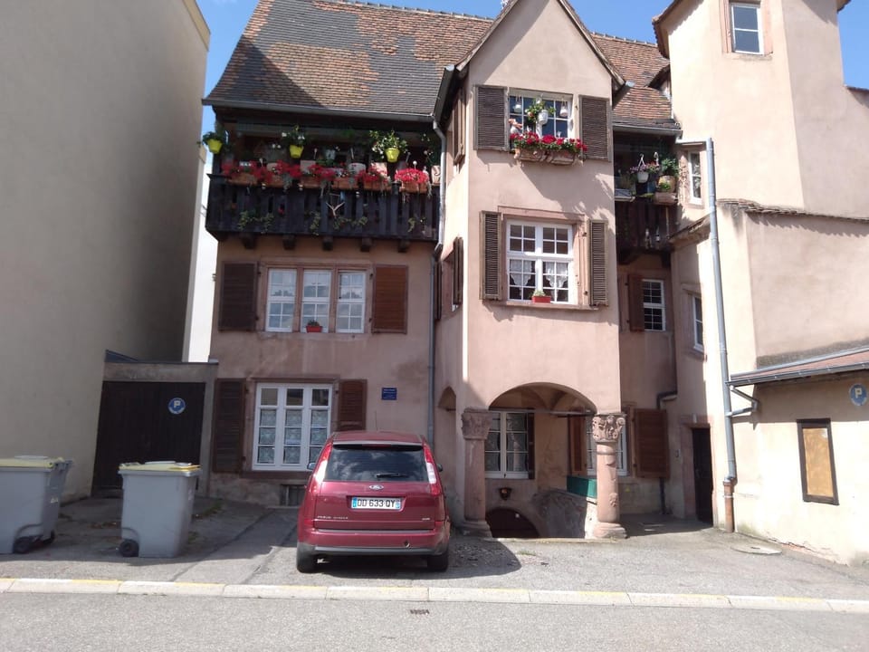 Le Baudinot Apartment in Sélestat