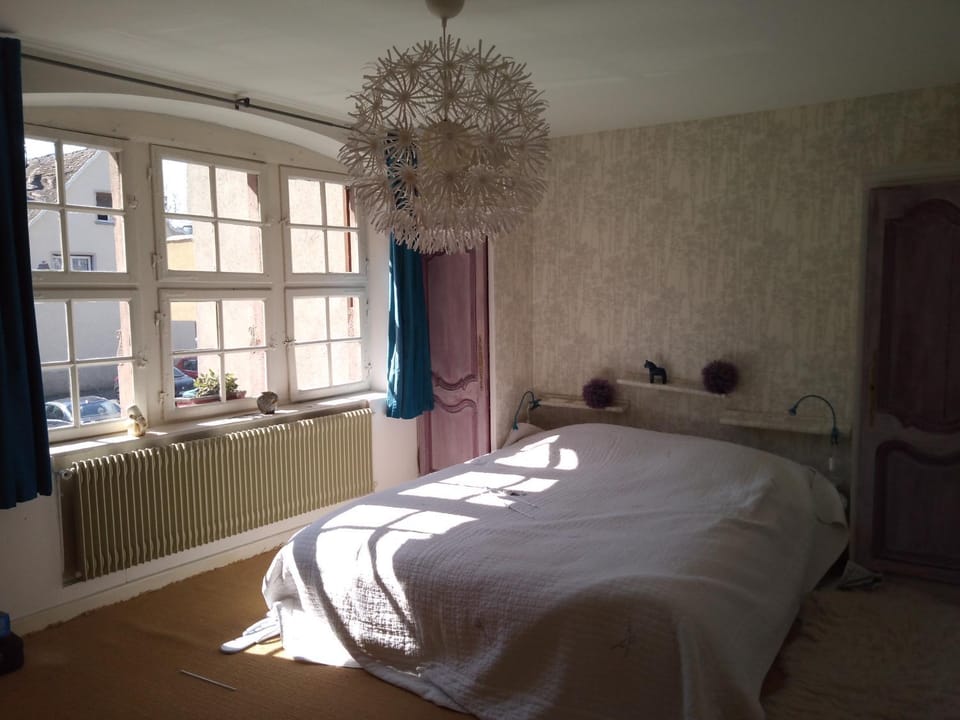 Le Baudinot Apartment in Sélestat