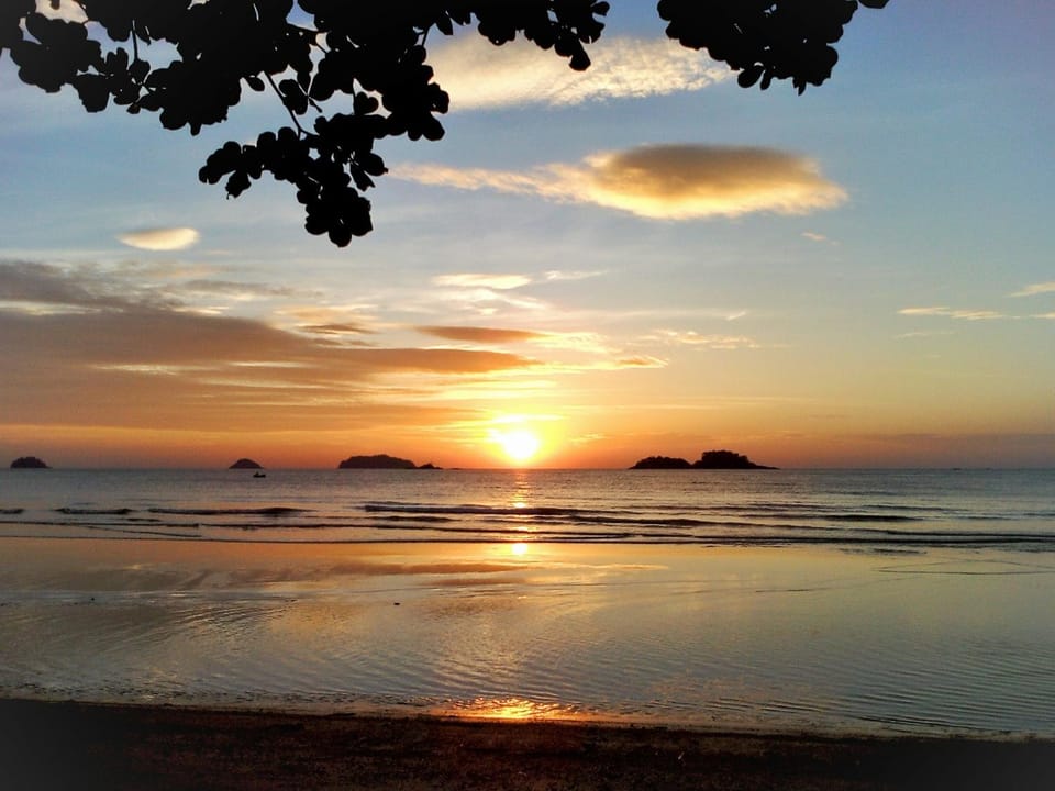 Natural landscape, Beach, Sunset