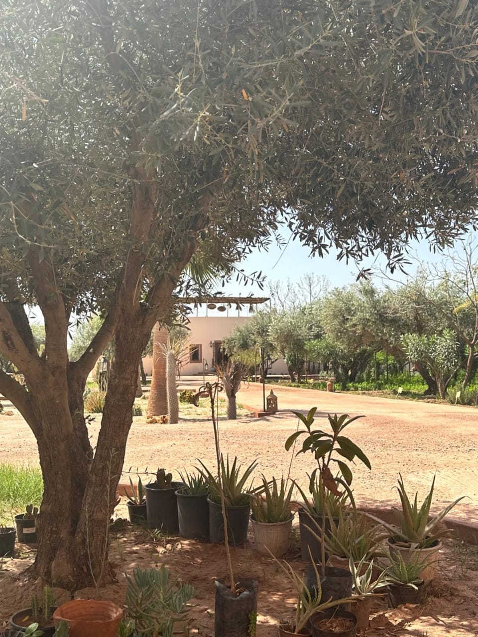 Upupa de l’Atlas Hotel in Marrakesh-Safi