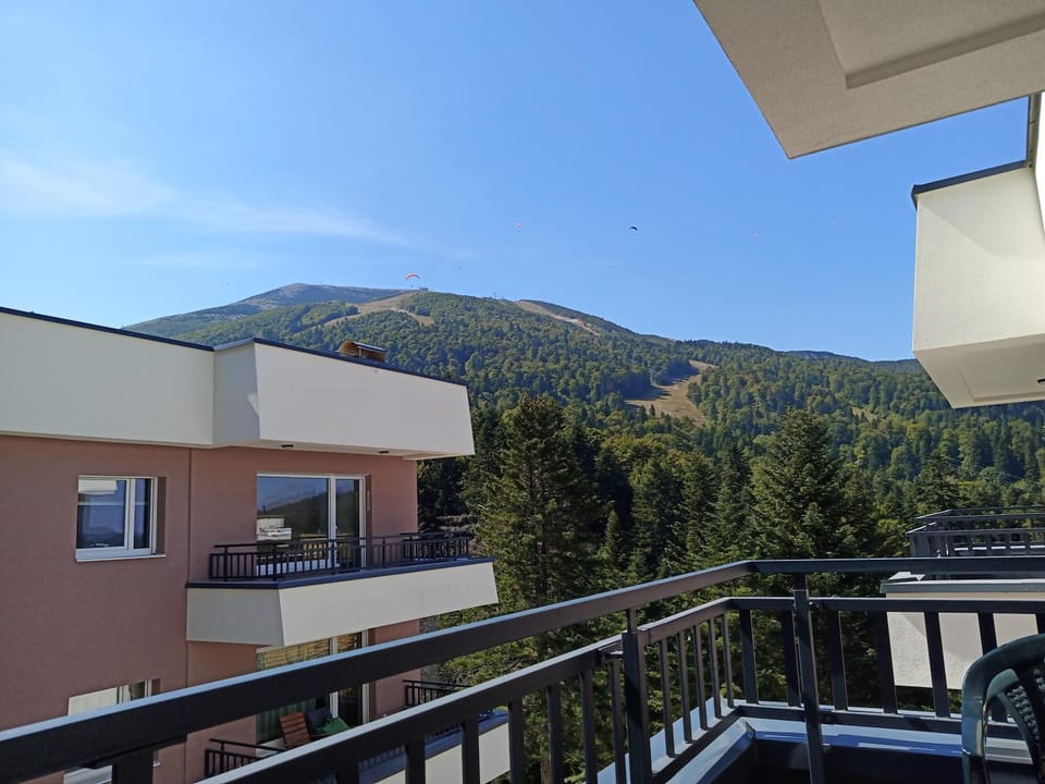 View (from property/room)