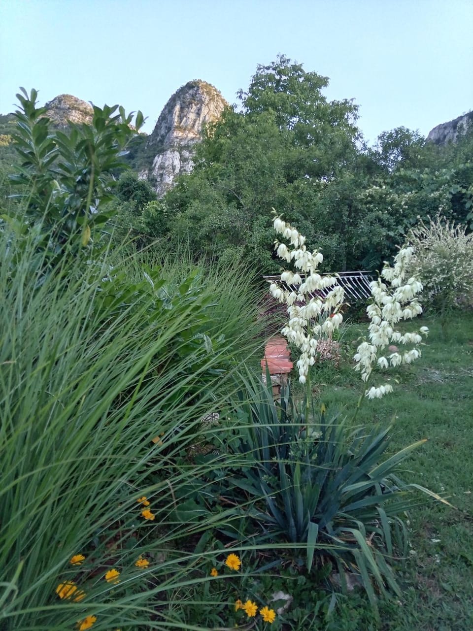 Odmaralište Vlaško ždrelo Apartment in Serbia