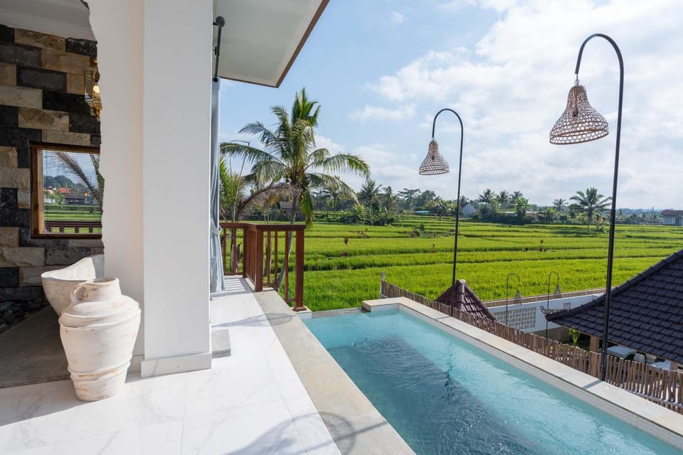 Pool view, Swimming pool