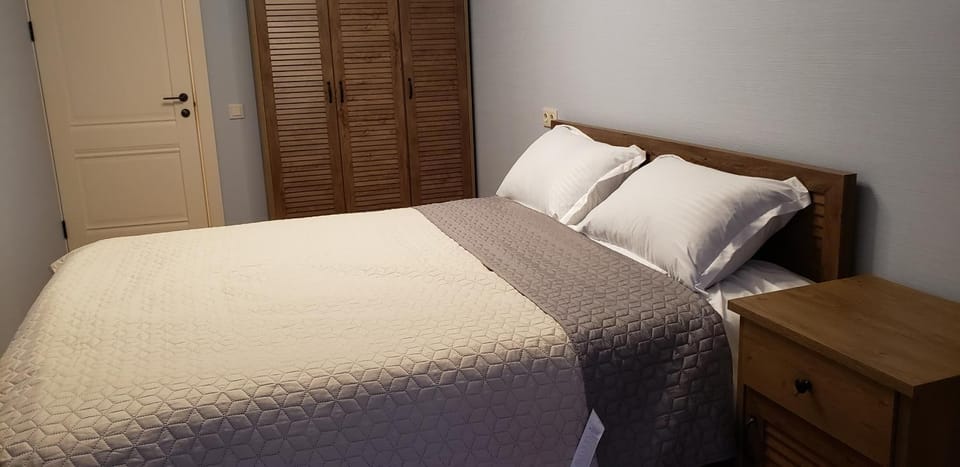 Apartment - 200 m Near Central Park Apartment in Tbilisi, Georgia