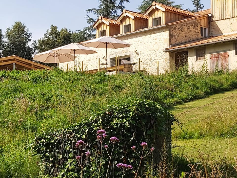 Property building, Spring, Day, Garden, Garden view