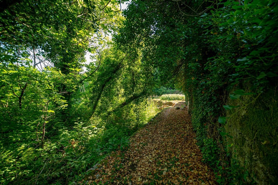 Ethno house OSOBAK Bed and Breakfast in Podgorica Municipality, Montenegro