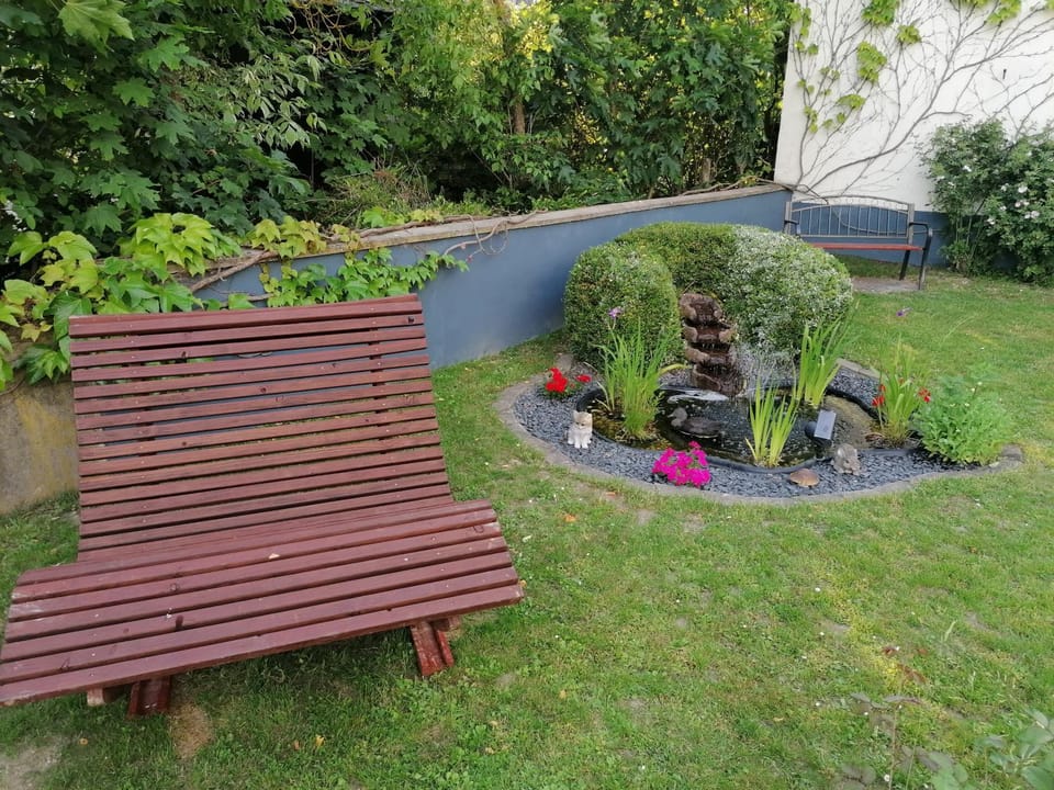 Patio, Garden, Garden view