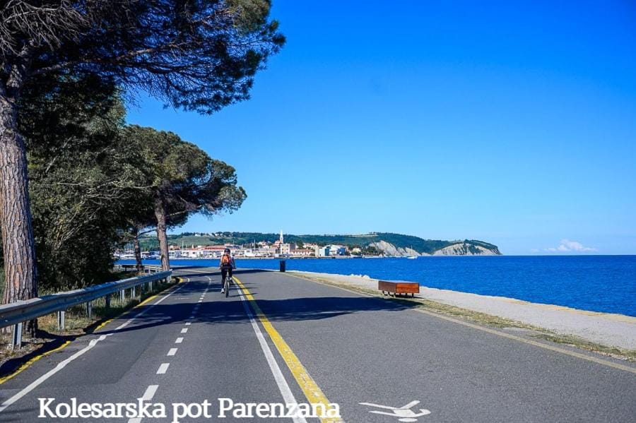 Beach, Cycling, Sea view, Sports