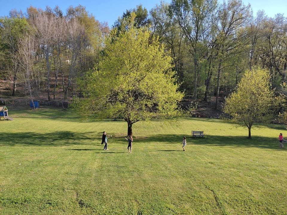 Natural landscape