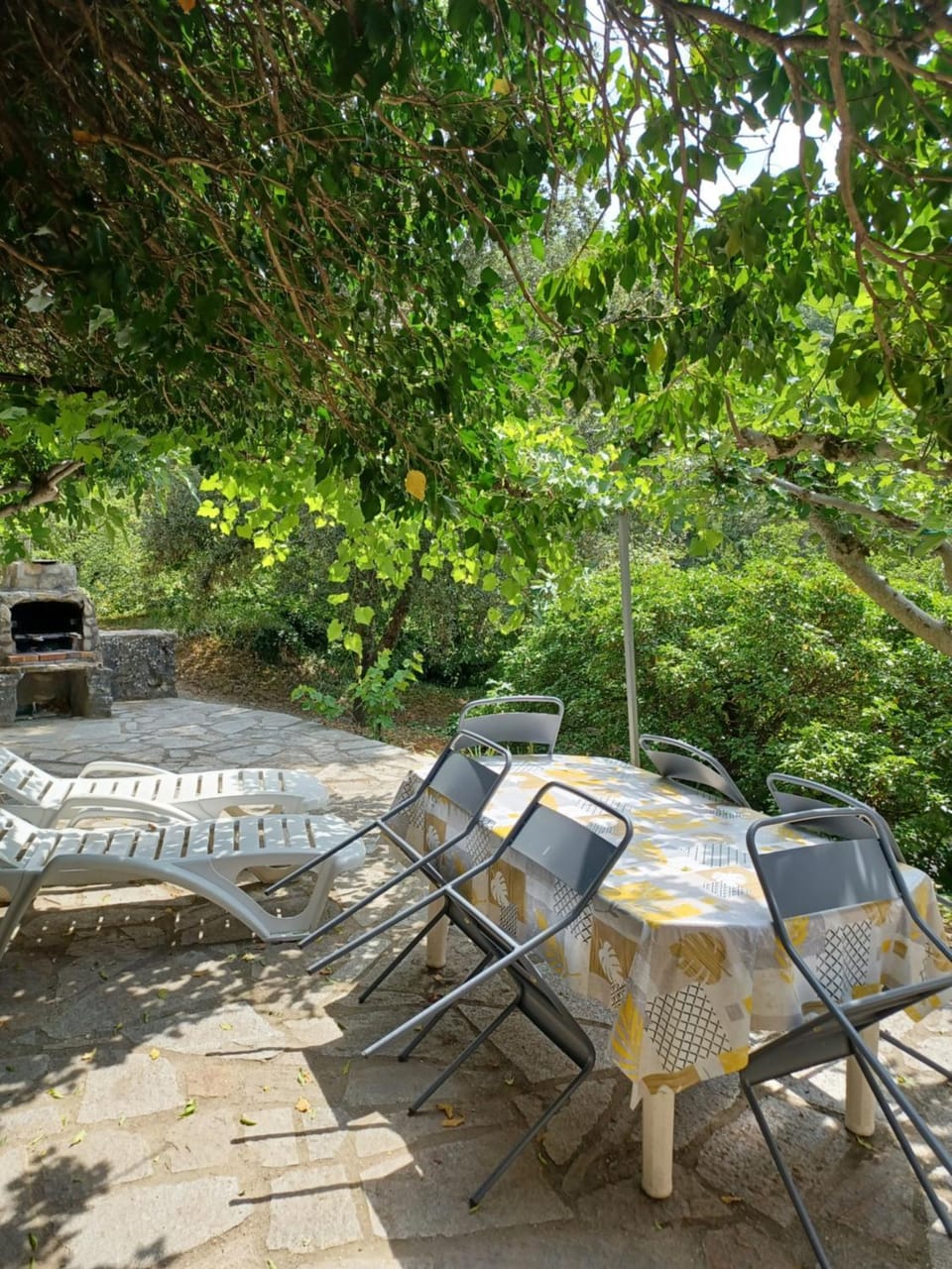 Gîtes du Domaine de Serre Long House in Provence-Alpes-Côte d'Azur