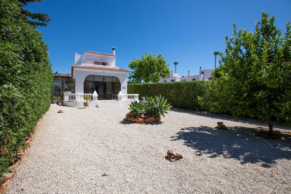 Patio, Garden, Garden view