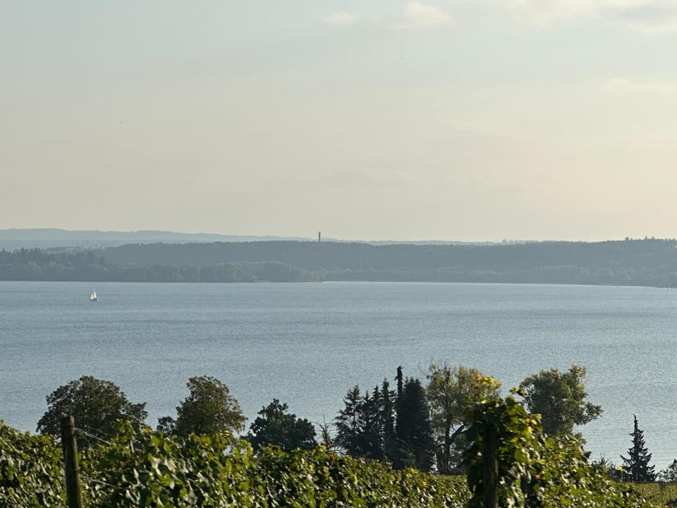 Lake view