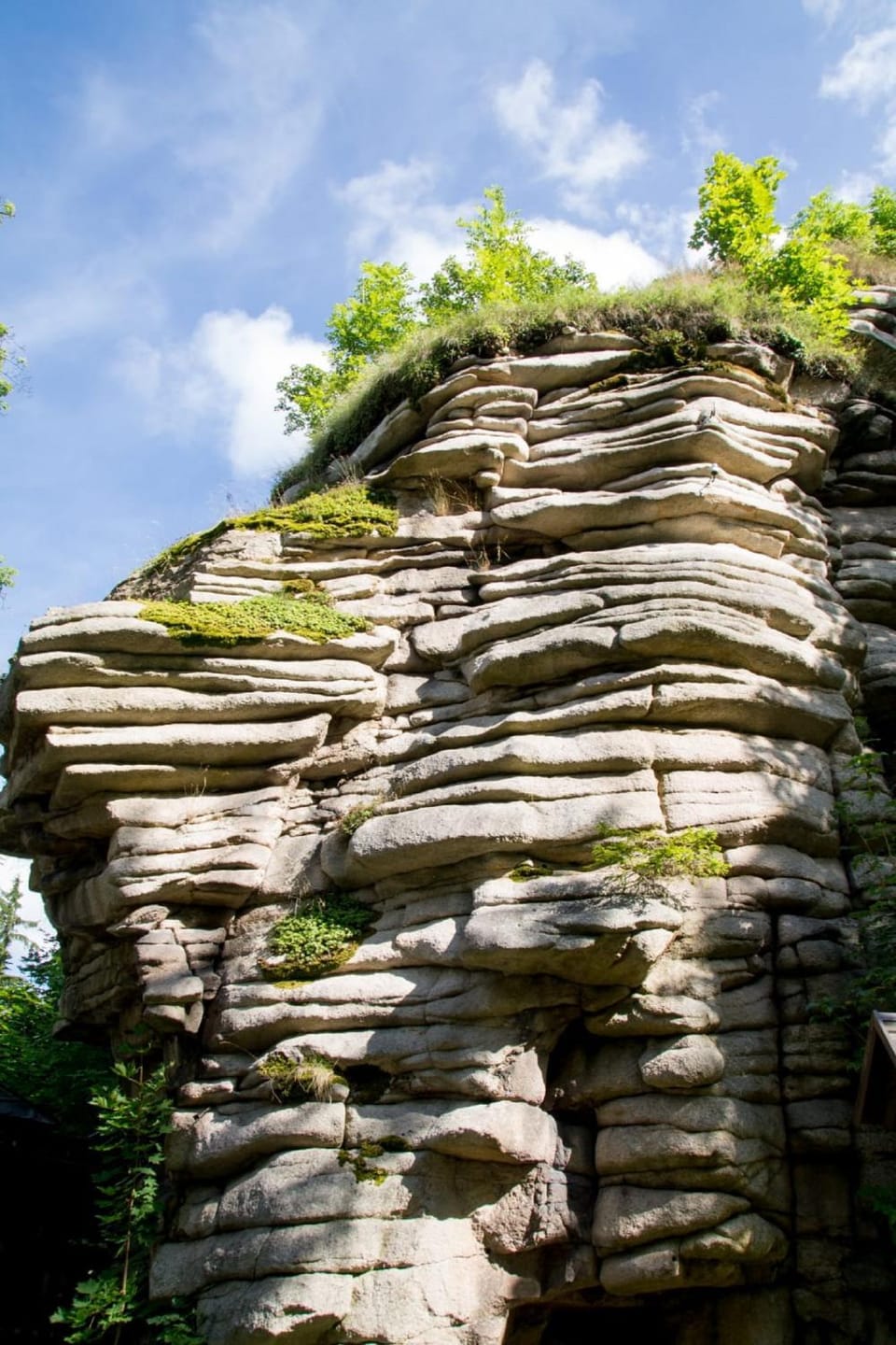 Natural landscape