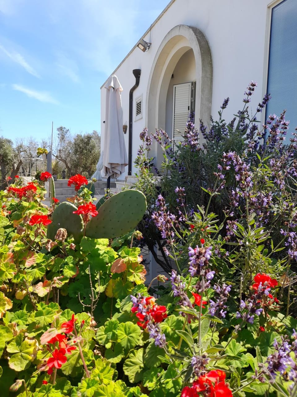 Garden, Garden view