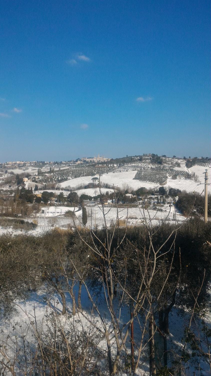 Property building, Winter, Decorative detail, City view