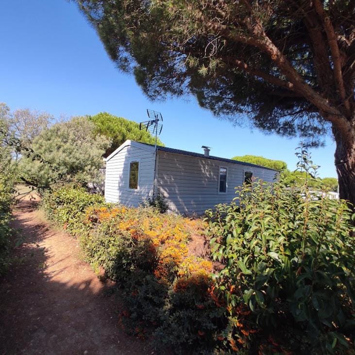 Le 384 mobilhome Clim Velos TV lavlinge plancha transats Campground/ 
RV Resort in Lattes