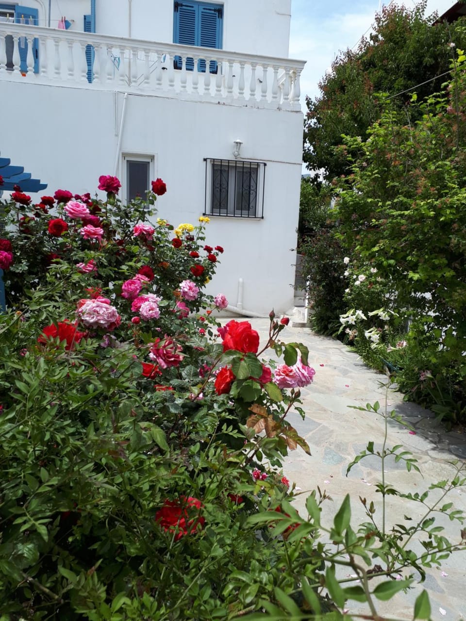 Roula's Studios Apartment in Decentralized Administration of the Aegean