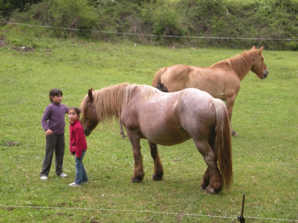 Horse-riding