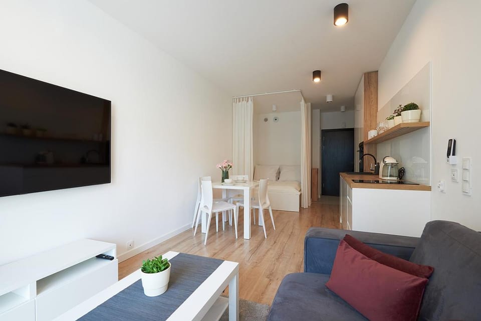 TV and multimedia, Kitchen or kitchenette, Living room, Seating area, Dining area, Bedroom