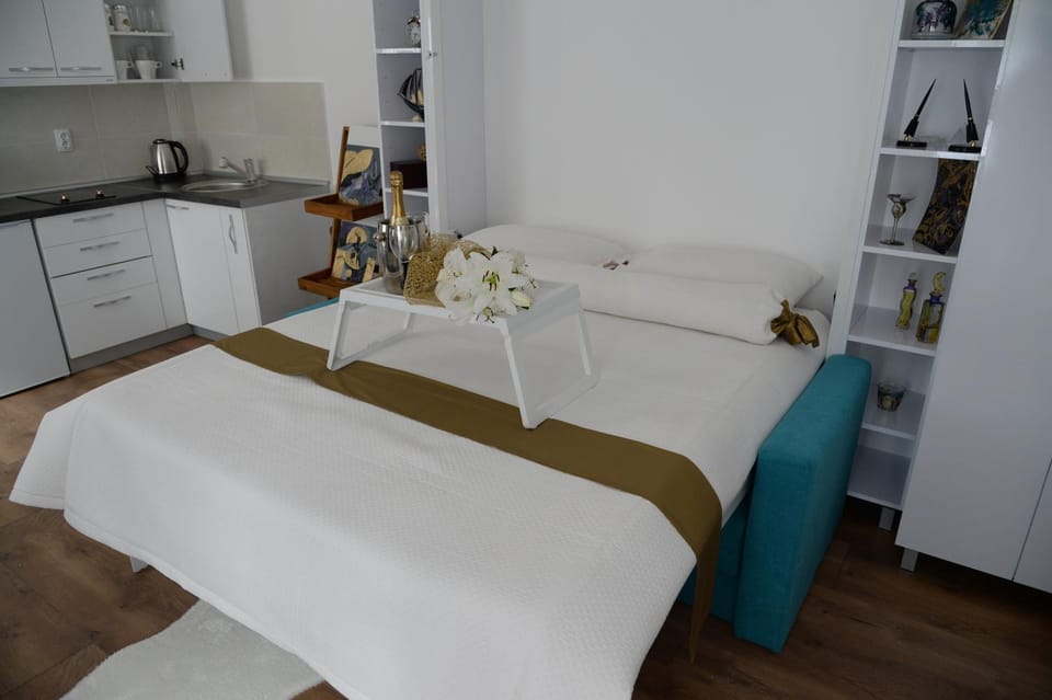Apartment Krins Apartment in Novi Sad