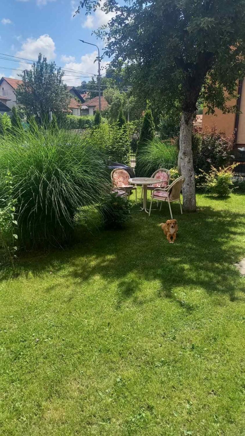 Apartmani Tankosić Apartment in Zlatibor District, Serbia