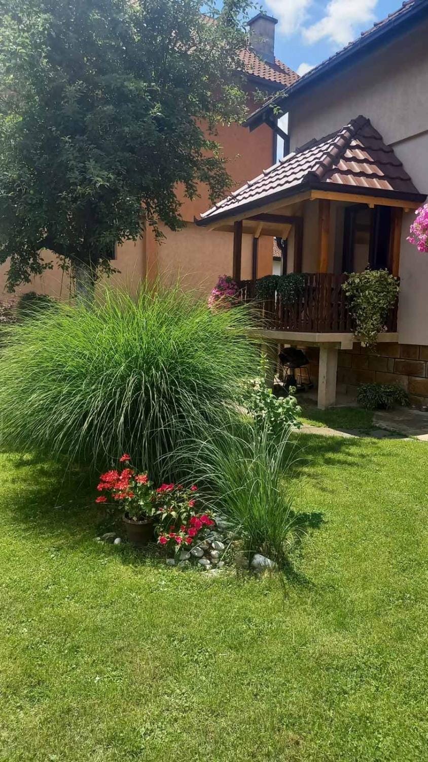 Apartmani Tankosić Apartment in Zlatibor District, Serbia