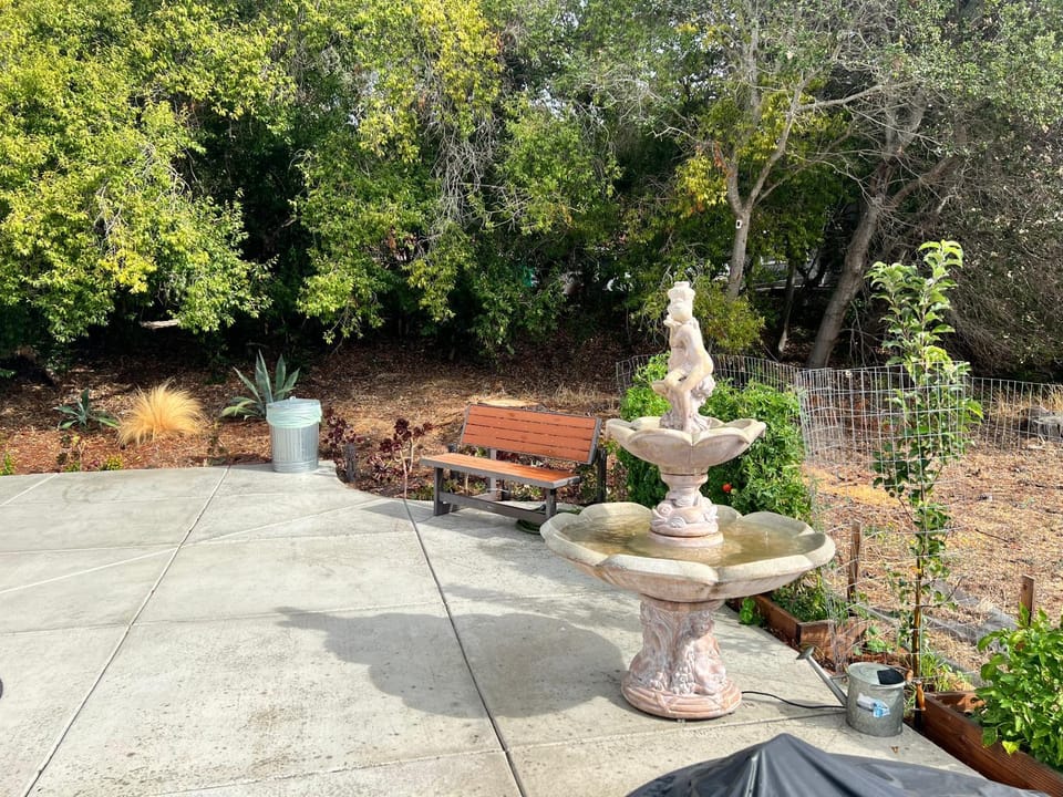 Garden, Garden view