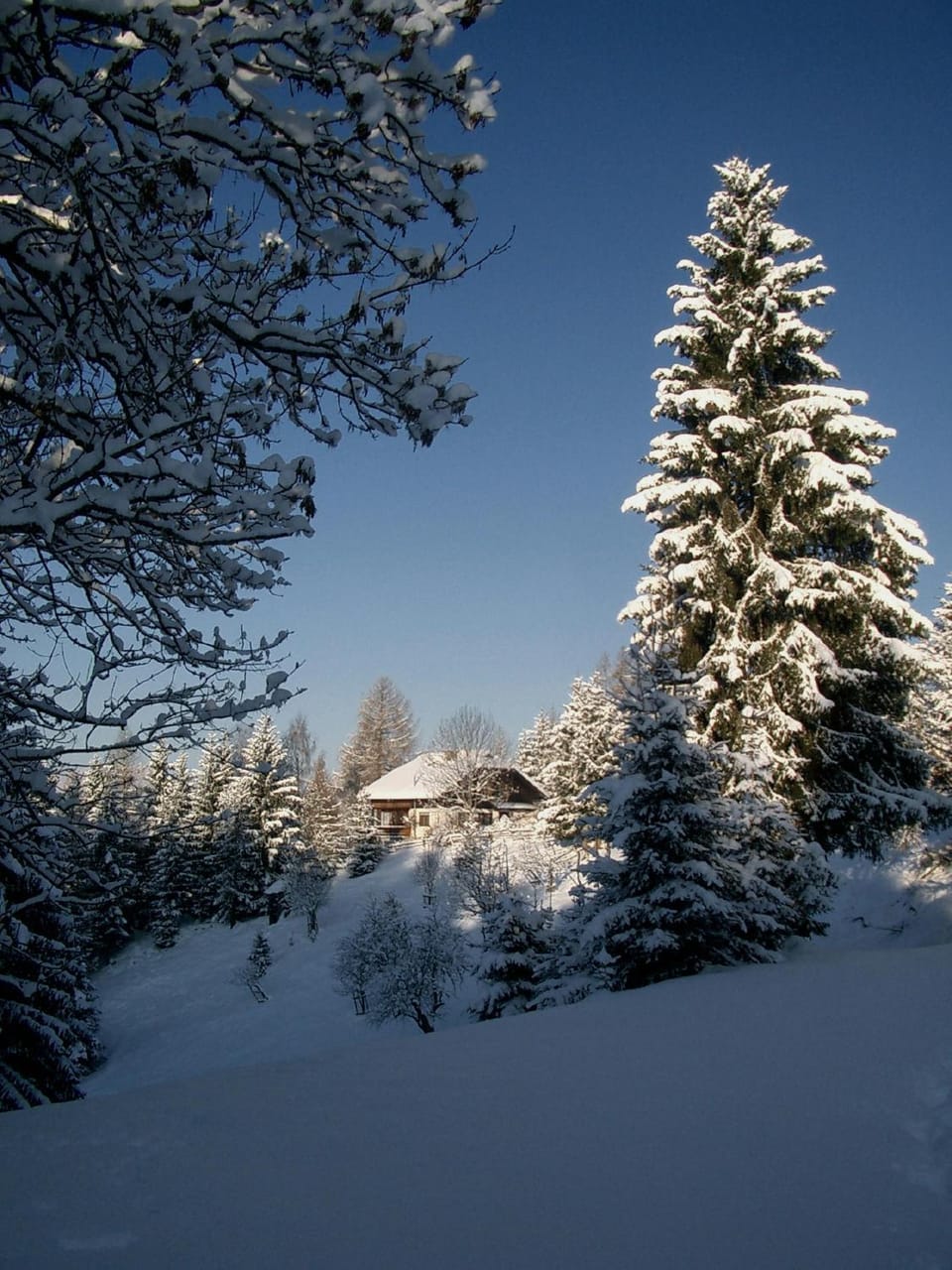 Winter