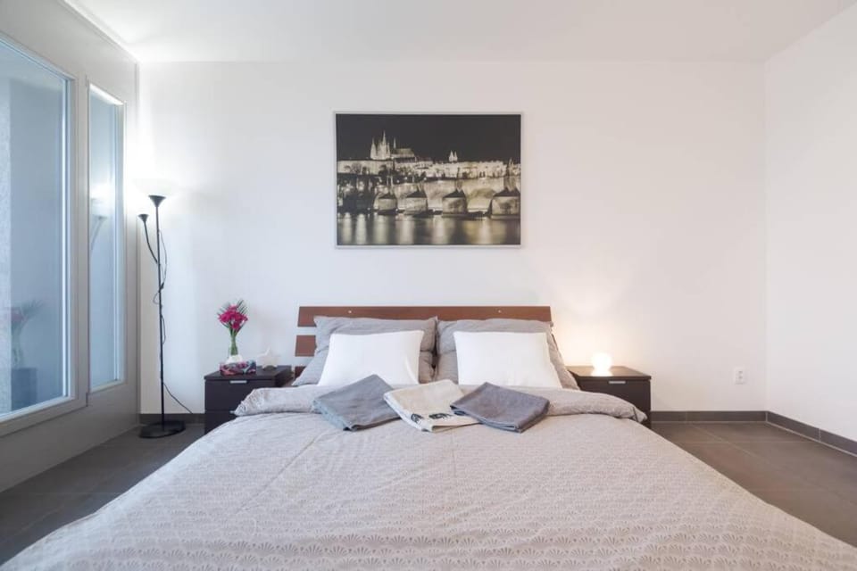 Bright studio, 10min to the Centre, free Parking Apartment in Prague
