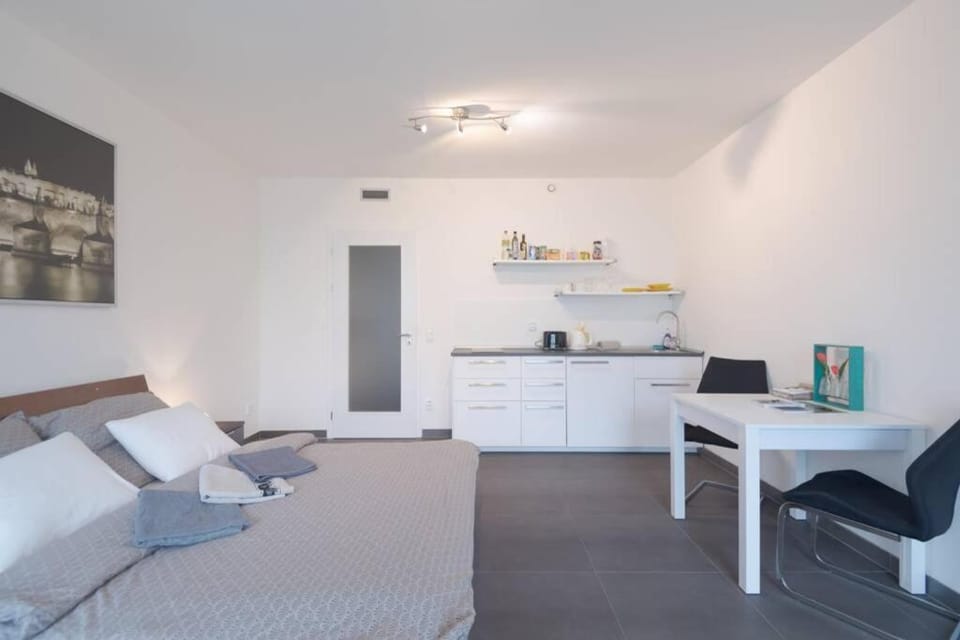 Bright studio, 10min to the Centre, free Parking Apartment in Prague