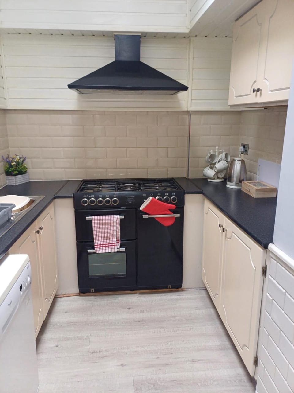 Kitchen or kitchenette, dishwasher, minibar, pet friendly, stove