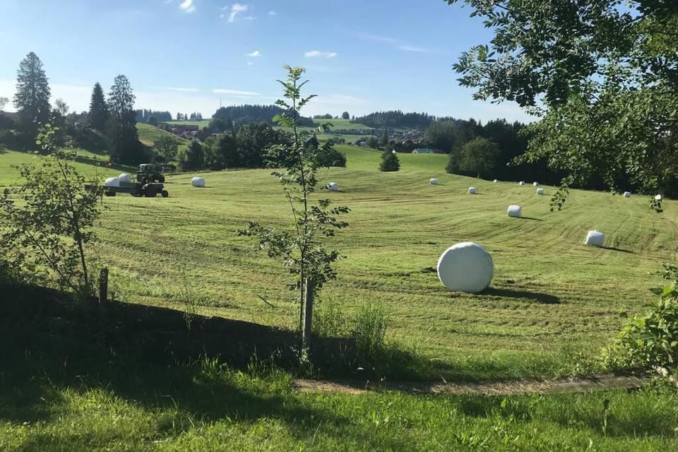 Garden, Garden view