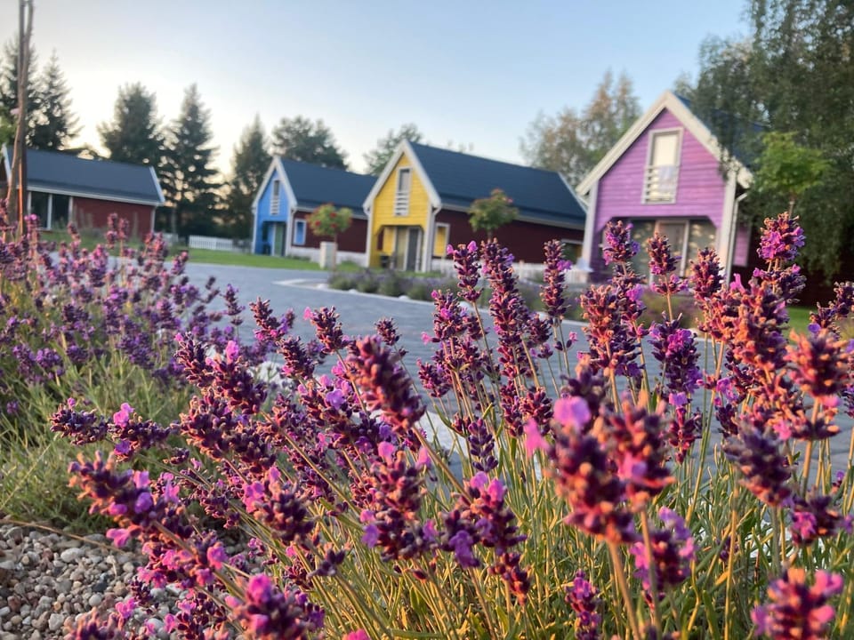 Property building, Day, Neighbourhood, Garden, Garden view