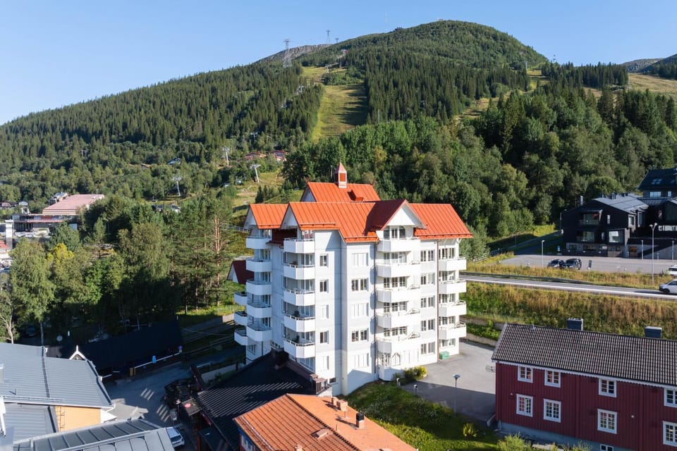 Property building, Bird's eye view, Summer