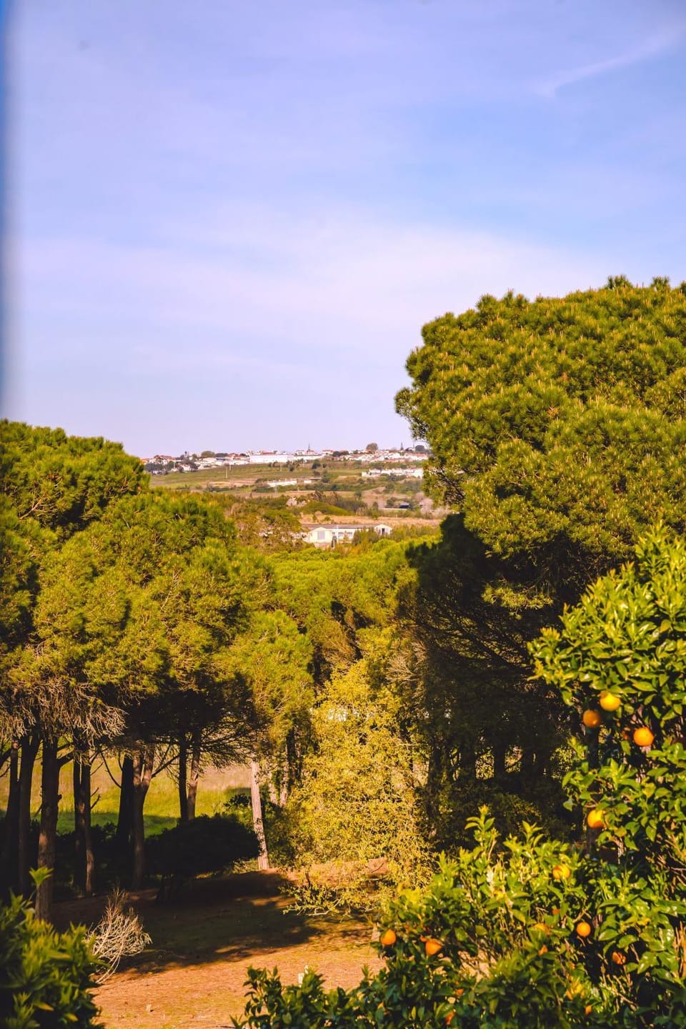 Casas do Alpendre House in Óbidos
